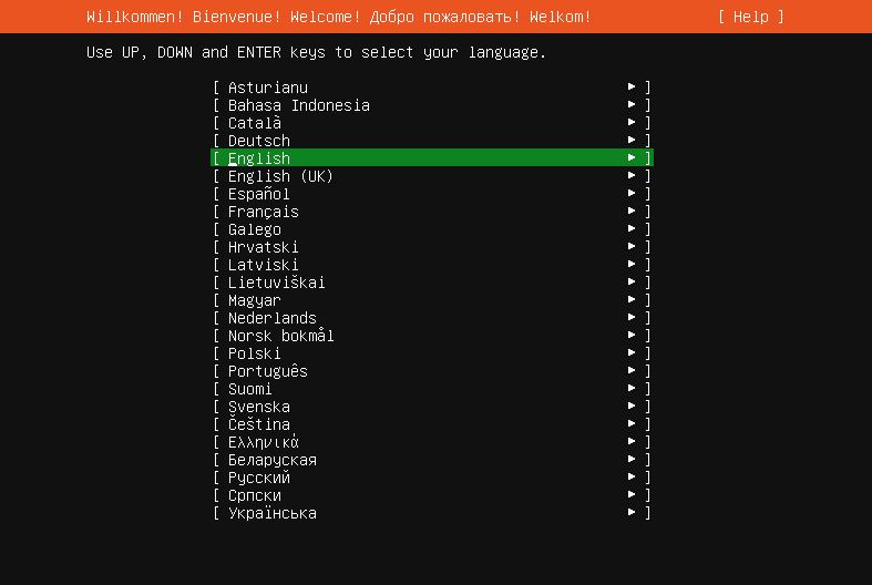 How to install Ubuntu Server 22.04.1 LTS